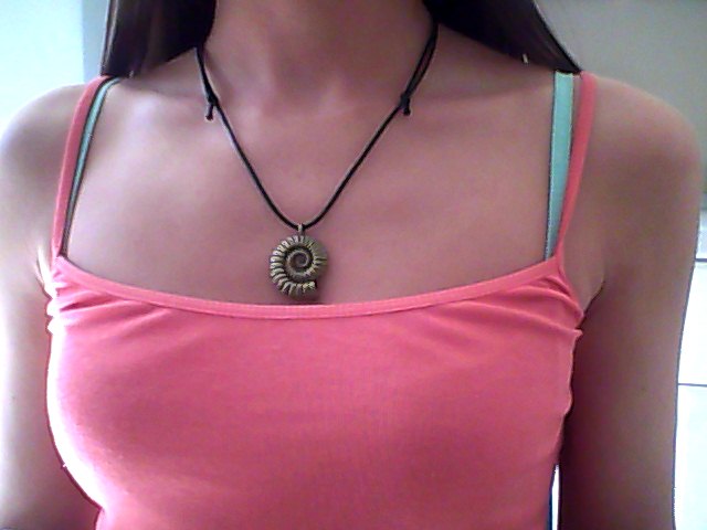 Snapshot_20120904_22