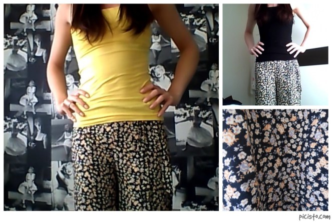 picisto-20130403130221-184392