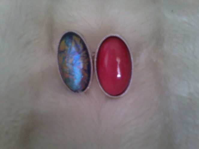 Holiday Shopping 003