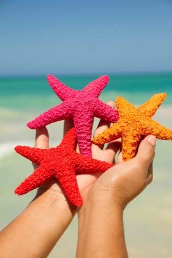 Starfish